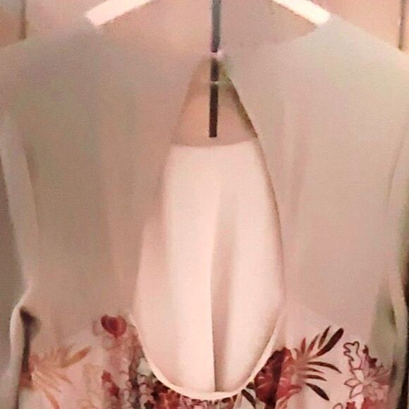 She + Sky Tan with Brown Floral Sheer Long Sleeve Short Lined Shift Dress Medium - Picture 3 of 9